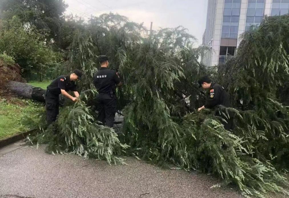 C:/Users/BA/Desktop/風(fēng)雨過后南京保安迅速行動，恢復(fù)安“寧”面貌/1.jpg1