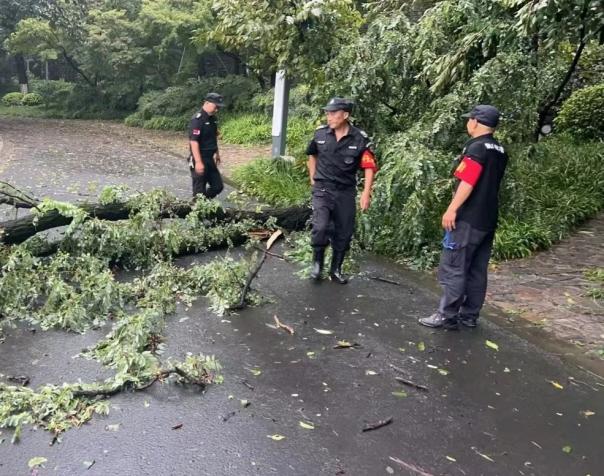 C:/Users/BA/Desktop/風(fēng)雨過后南京保安迅速行動，恢復(fù)安“寧”面貌/7.jpg7